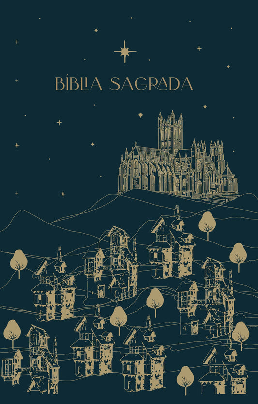 The Purpose Book: Bíblia, A21, Capa dura com tecido, Novo Reino