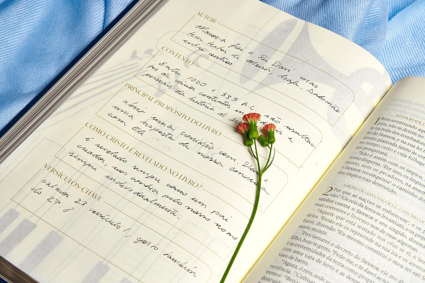 The Purpose Book: Bíblia, A21, Capa dura com tecido, Novo Reino