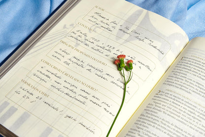 The Purpose Book: Bíblia, A21, Capa dura com tecido, Novo Reino